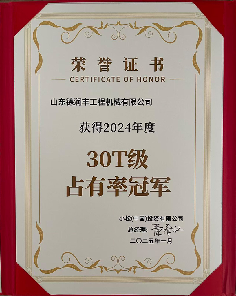 2024年度30T级占有率冠军