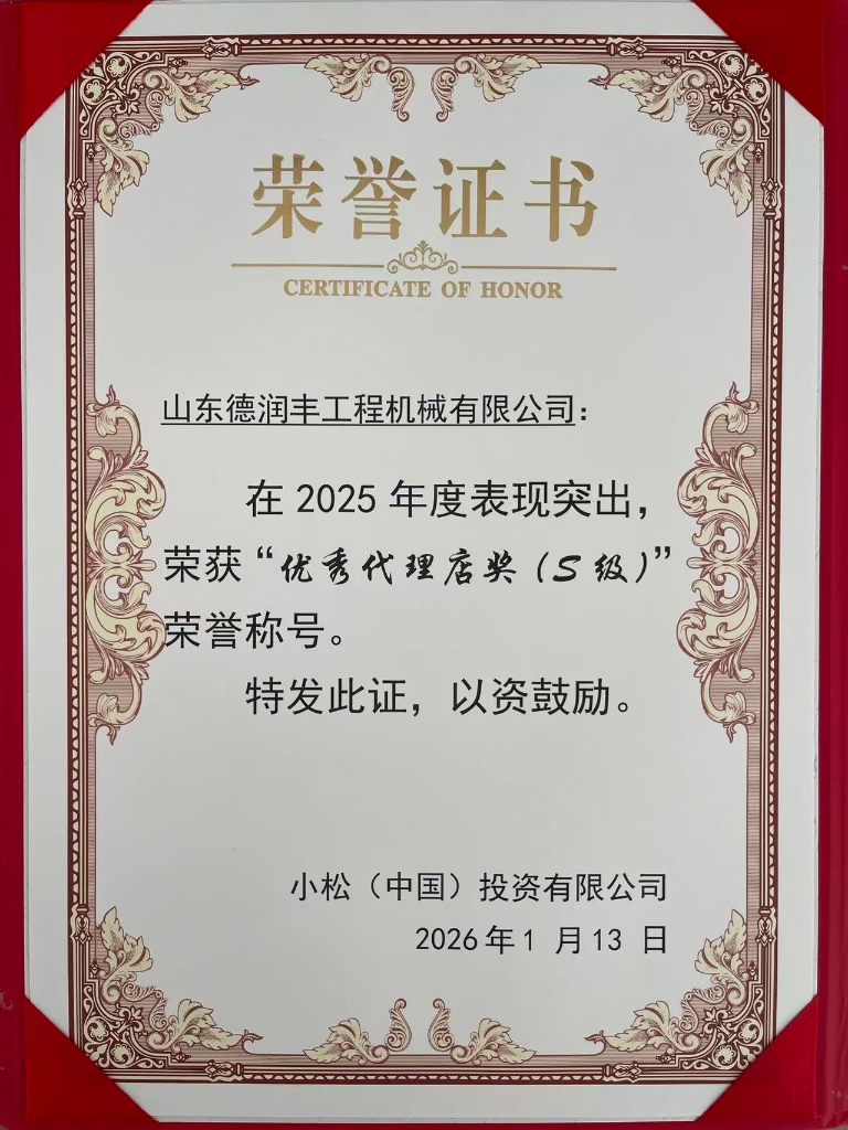 2025年度优秀代理店奖（S级）